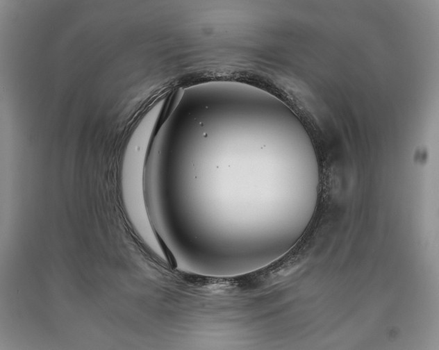 X0000090600505200707241047