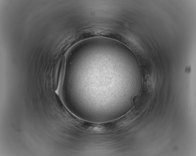 X0000090600506200707241047