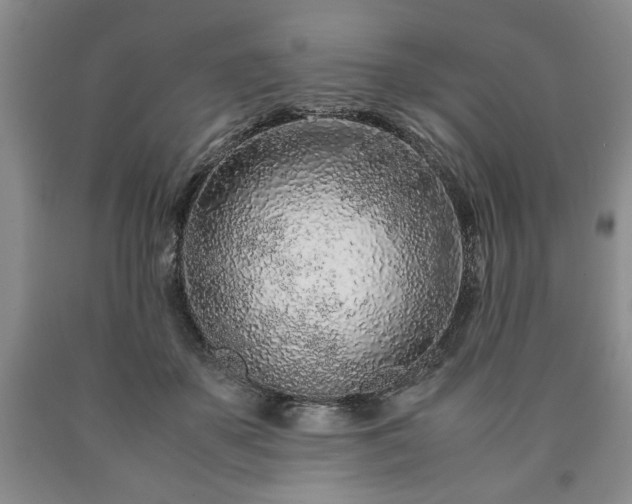 X0000090600507200707241047