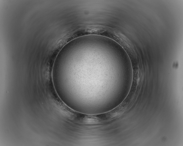 X0000090600510200707241047