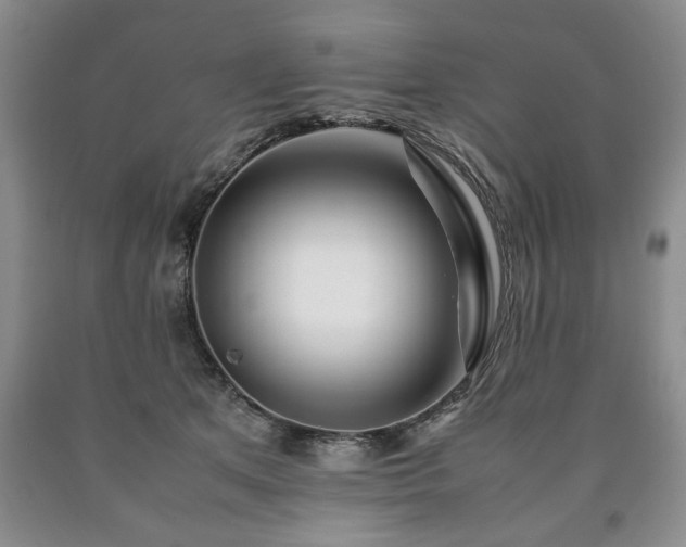 X0000090600513200707241047