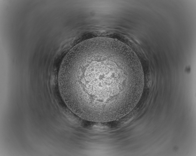 X0000090600515200707241047