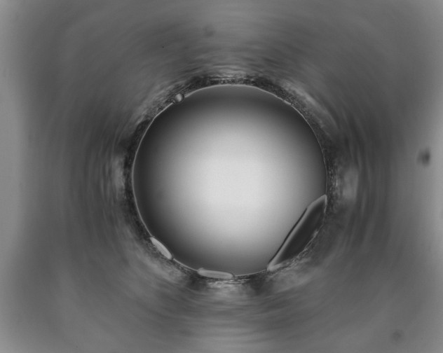 X0000090600516200707241047