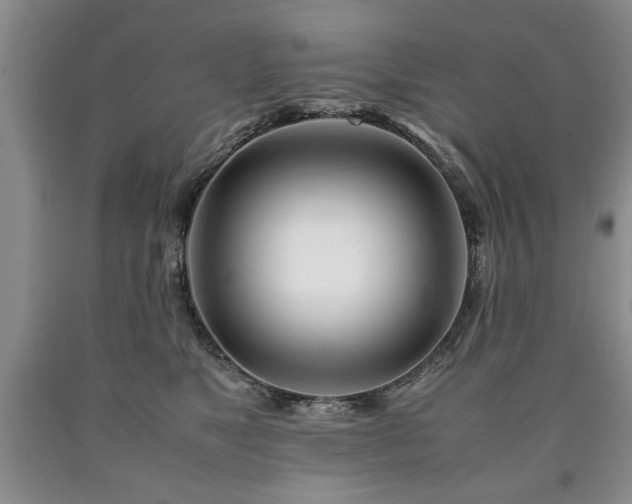 X0000090600517200707241047