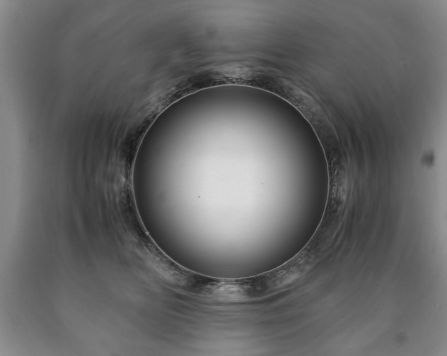 X0000090600518200707241047