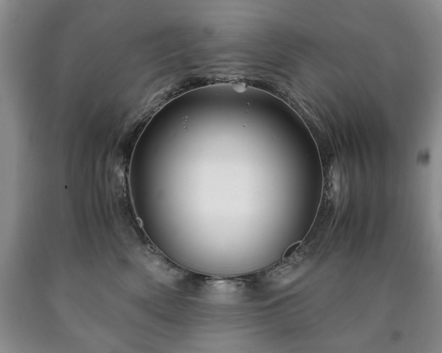 X0000090600522200707241047