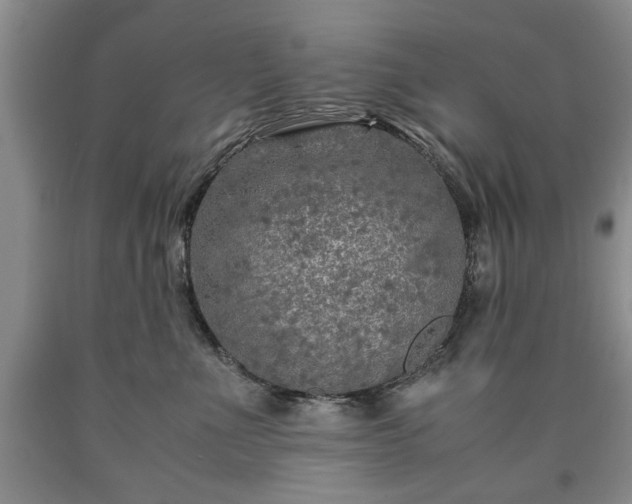 X0000090600523200707241047