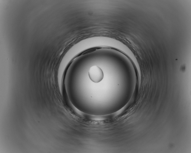 X0000090600524200707241047