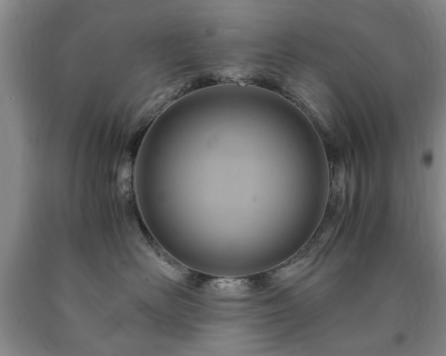 X0000090600526200707241046