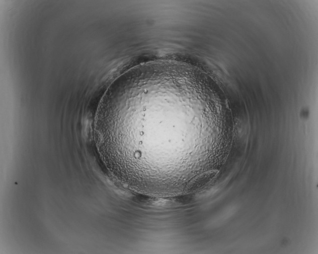 X0000090600527200707241046