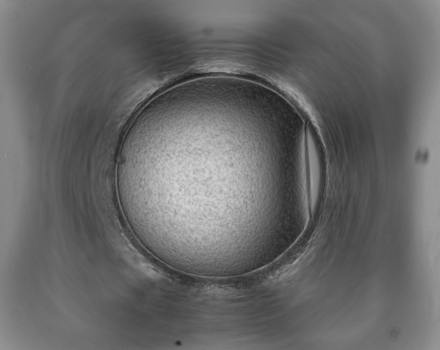 X0000090600529200707241046