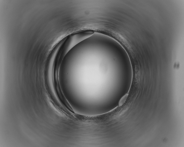 X0000090600530200707241046