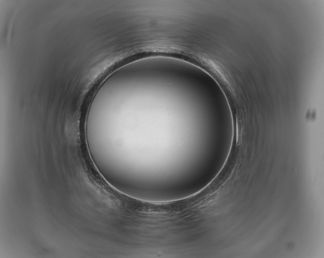 X0000090600531200707241046