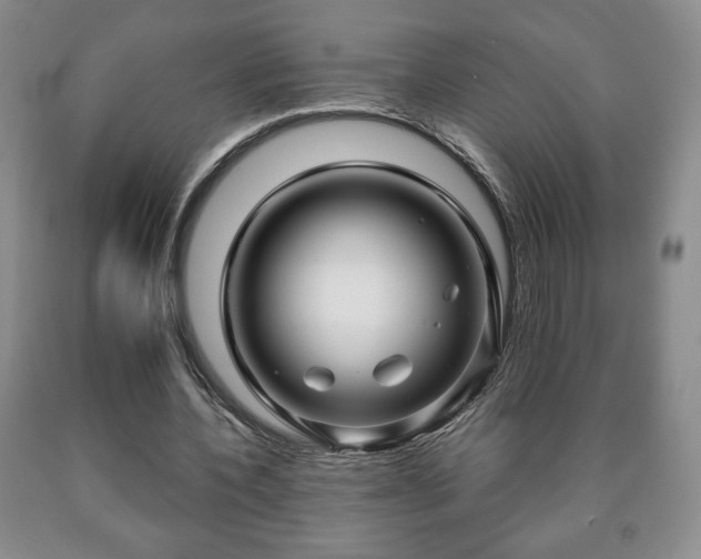 X0000090600532200707241046