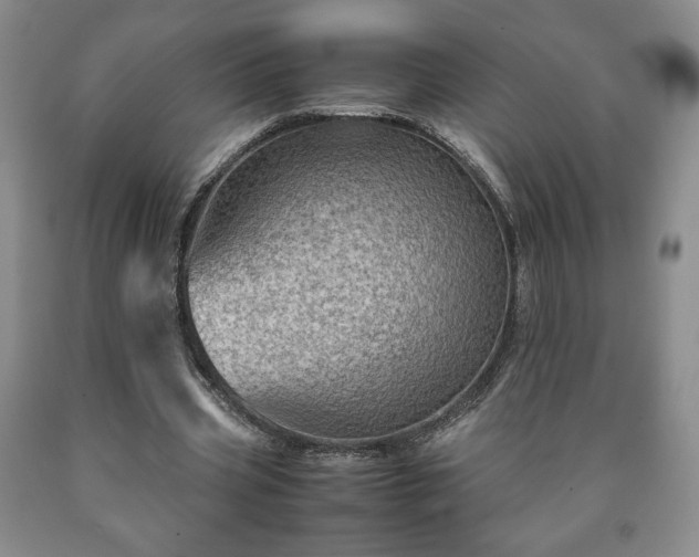 X0000090600533200707241046