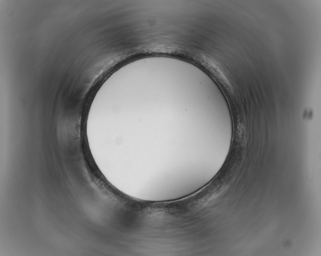 X0000090600534200707241046