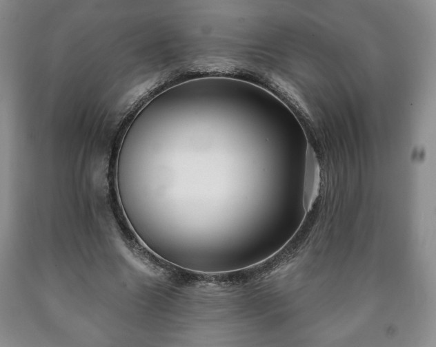 X0000090600538200707241046