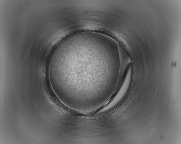 X0000090600539200707241046