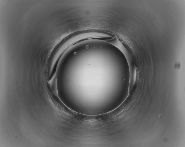 X0000090600540200707241046