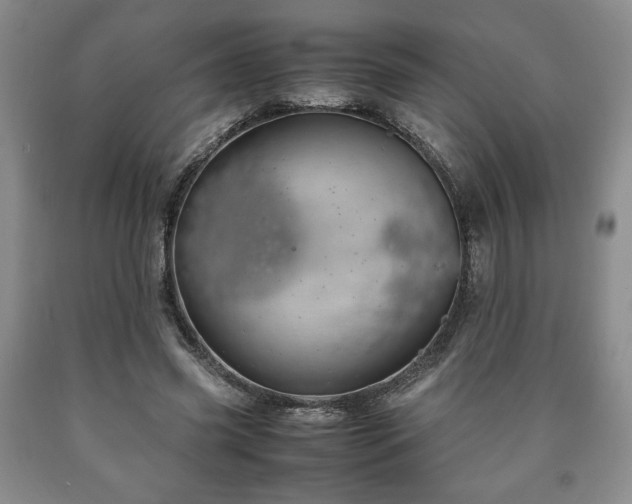 X0000090600541200707241046