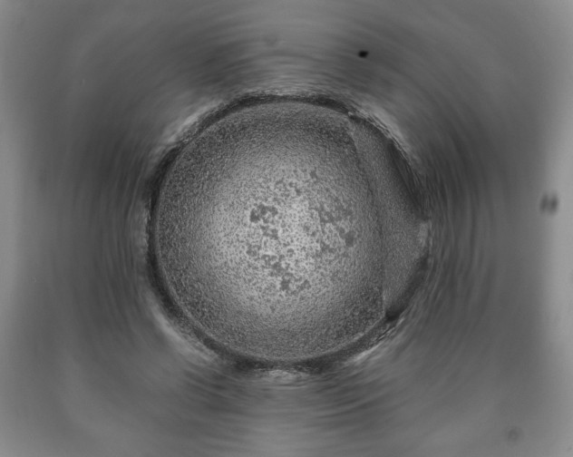 X0000090600542200707241046