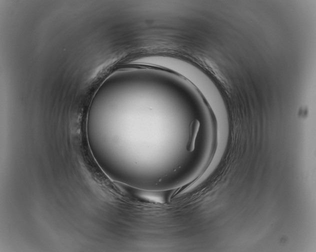 X0000090600543200707241046