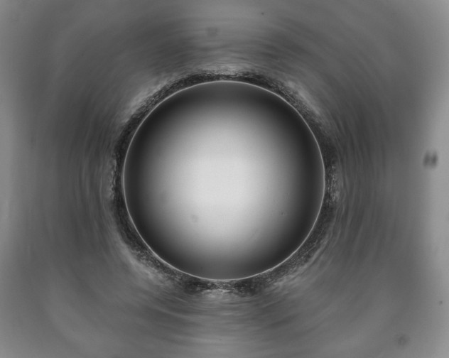 X0000090600544200707241046