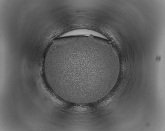 X0000090600545200707241046