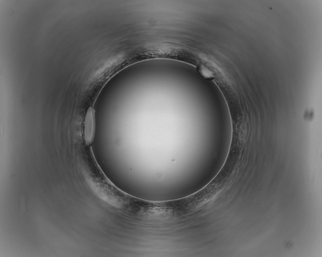 X0000090600546200707241046