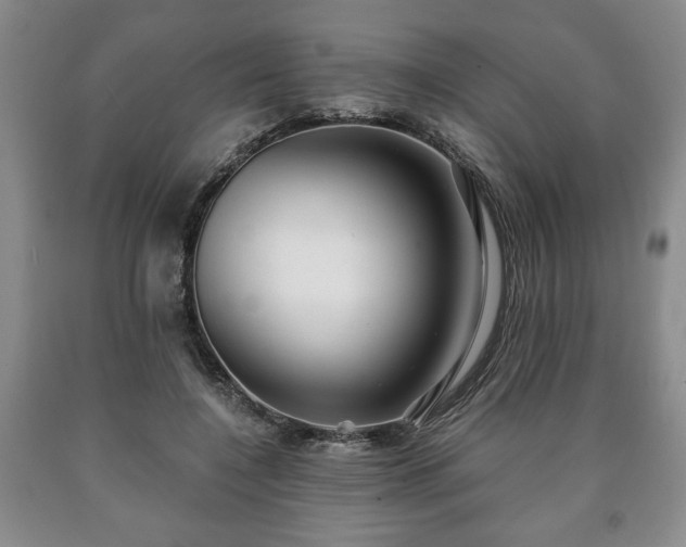 X0000090600548200707241046