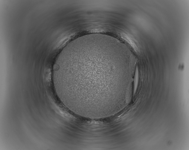 X0000090600549200707241046