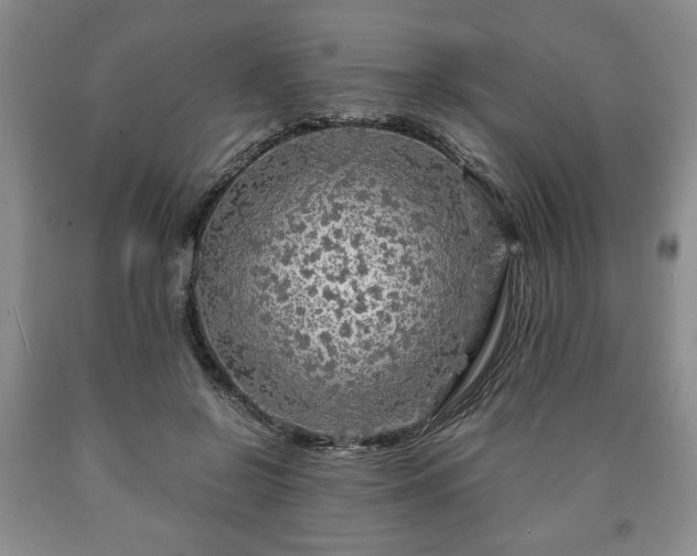 X0000090600550200707241046