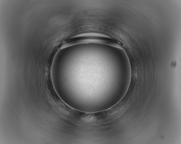 X0000090600551200707241046