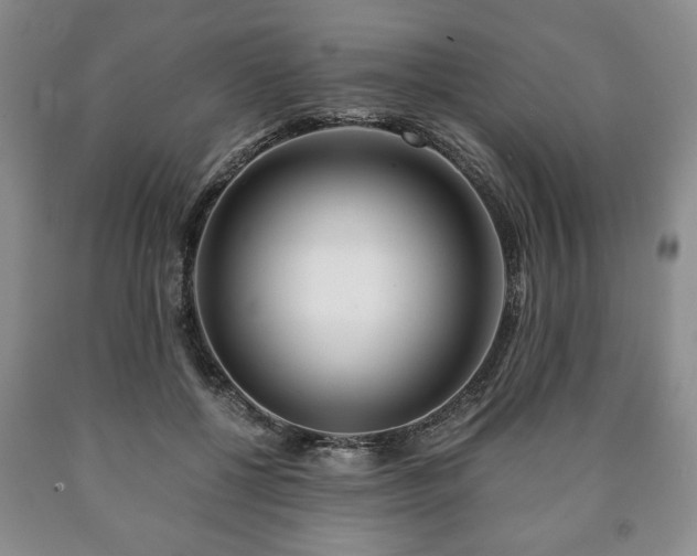 X0000090600552200707241046