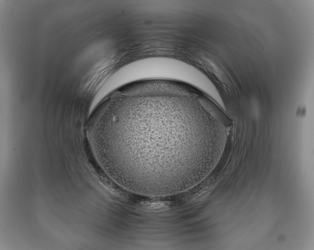 X0000090600553200707241046