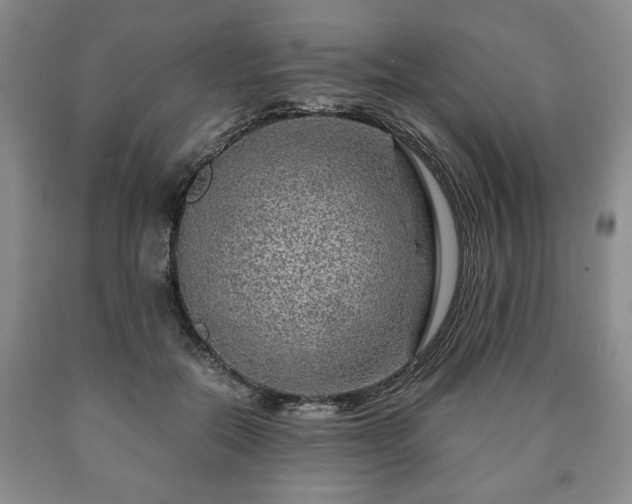 X0000090600554200707241046