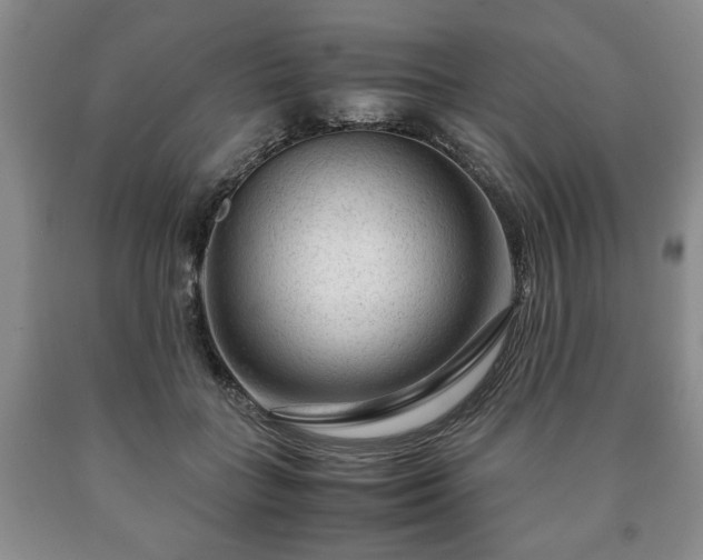 X0000090600555200707241046