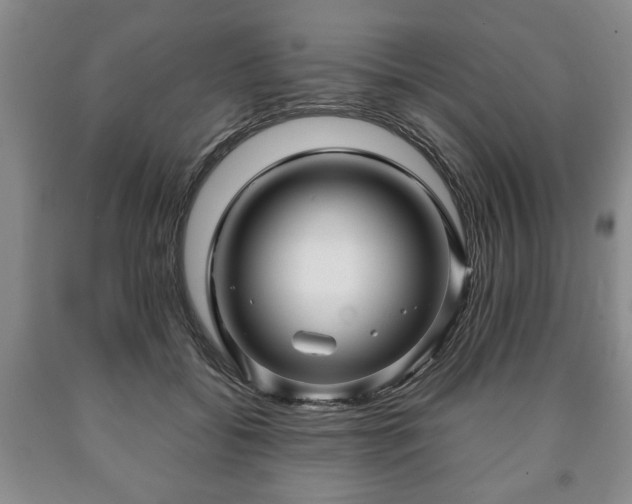 X0000090600556200707241046