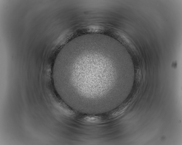 X0000090600557200707241046