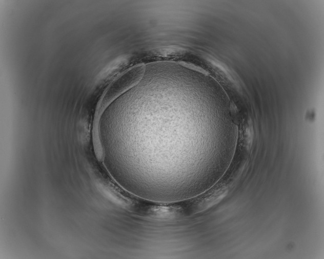 X0000090600558200707241046