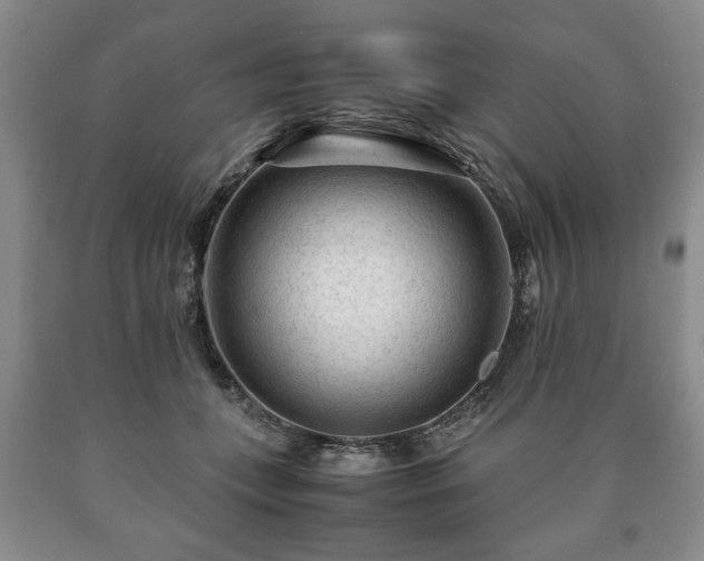 X0000090600559200707241046