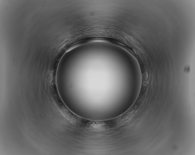 X0000090600560200707241046