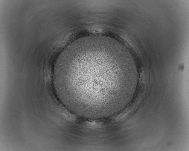 X0000090600561200707241046