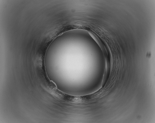 X0000090600562200707241046