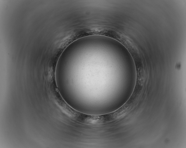 X0000090600563200707241046