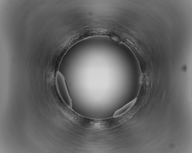 X0000090600564200707241046