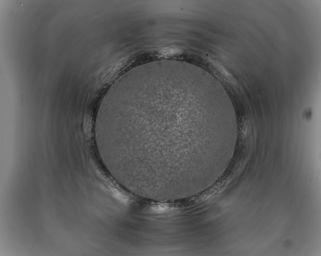 X0000090600565200707241046