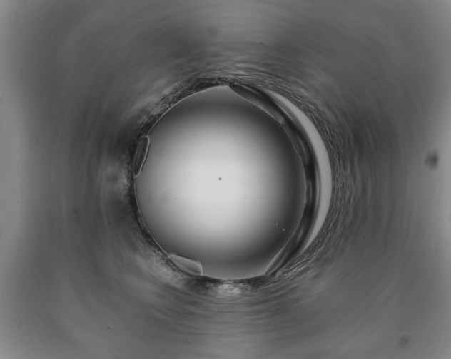 X0000090600566200707241046