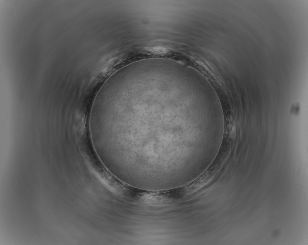 X0000090600568200707241046