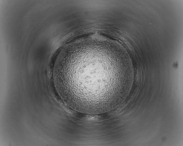 X0000090600569200707241046